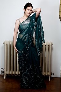 Cute Punjabi Housewife Wearing Indian Sari